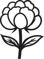Cotton boll clean simple linear outline black vector