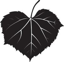 Heart shaped autumn leaf clean simple silhouette black vector