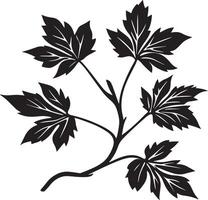 Maple branch with leaves clean simple icon outline black vector