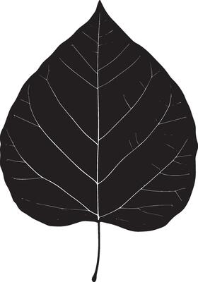 poplar leaf clean simple silhouette black