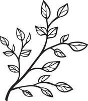Autumn branch clean simple linear outline black vector