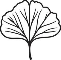 Ginko leaf clean simple icon outline black vector