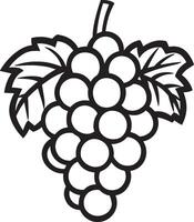 Grape fruit clean simple icon outline black vector