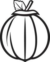 acorn clean simple linear outline black vector