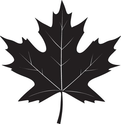 a black and white maple leaf