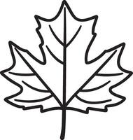 a black and white drawing of a maple leaf vector
