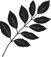 ash leaf clean simple icon outline black vector