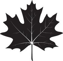 a black maple leaf vector