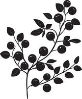 Branch with cranberries clean simple silhouette black vector