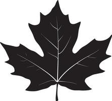 Autumn leaf clean simple icon silhouette black vector