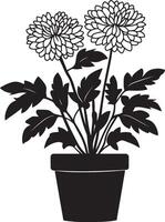 Chrysanthemum flowers clean simple icon silhouette black vector
