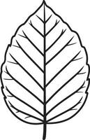 ash leaf clean simple linear outline black vector