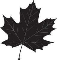Autumn leaf clean simple silhouette black vector