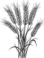 Bunch of wheat ears clean simple linear outline black vector