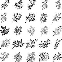 Collection of Branch with cranberries clean simple silhouette black vector