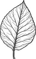 Autumn leaf clean simple linear outline black vector