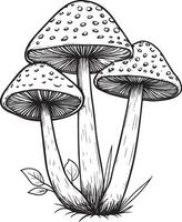 Red fly agarics clean simple linear outline black vector