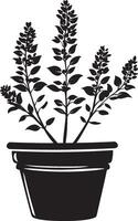 Heather flower in pot clean simple silhouette black vector