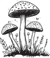 Red fly agarics clean simple linear outline black vector