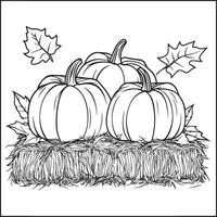 Pumpkins on hay bale with autumn leaves clean simple linear outline black vector