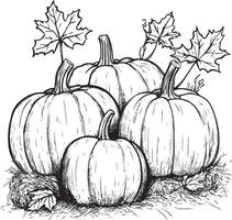 Pumpkins on hay bale with autumn leaves clean simple linear outline black vector