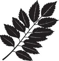 rowan tree leaf clean simple silhouette black vector