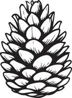 Pine cone clean simple linear outline black vector