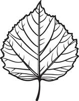 Autumn leaf clean simple linear outline black vector