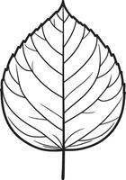 Mapble leaf clean simple linear outline black vector