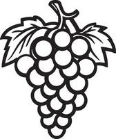 Grape fruit clean simple linear outline black vector