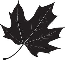 Autumn leaf clean simple silhouette black vector