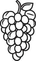 Grape fruit clean simple linear outline black vector