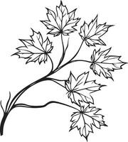 Maple branch with leaves clean simple linear outline black vector