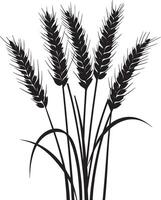Bunch of wheat ears clean simple silhouette black vector