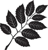 rowan tree leaf clean simple silhouette black vector