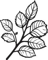 Autumn branch clean simple icon outline black vector