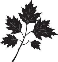Maple branch with leaves clean simple icon silhouette black vector