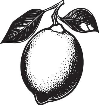limón limpiar sencillo silueta negro vector