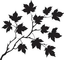 Maple branch with leaves clean simple silhouette black vector
