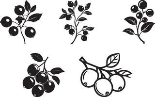 Collection of cranberries clean simple silhouette black vector