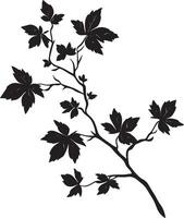 Maple branch with leaves clean simple silhouette black vector