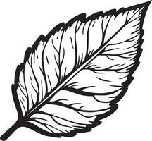 Autumn leaf clean simple icon outline black vector