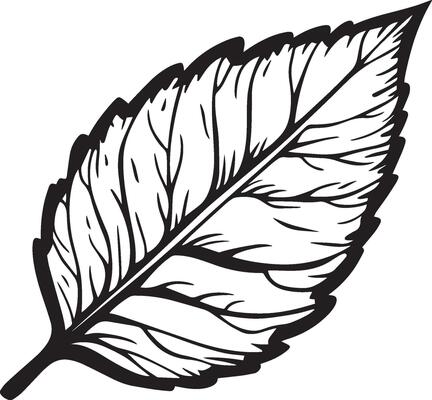 Autumn leaf clean simple icon outline black