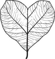 Heart shaped autumn leaf clean simple linear outline black vector