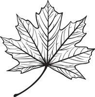 Autumn leaf clean simple linear outline black vector