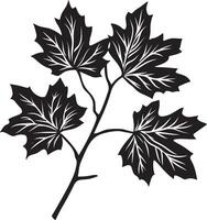 Maple branch with leaves clean simple icon outline black vector