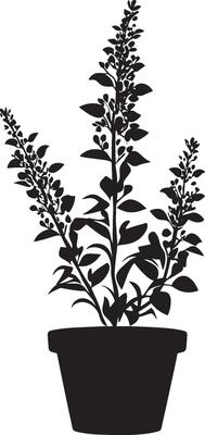Heather flower in pot clean simple silhouette black