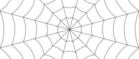 background line spider webs design llustration vector