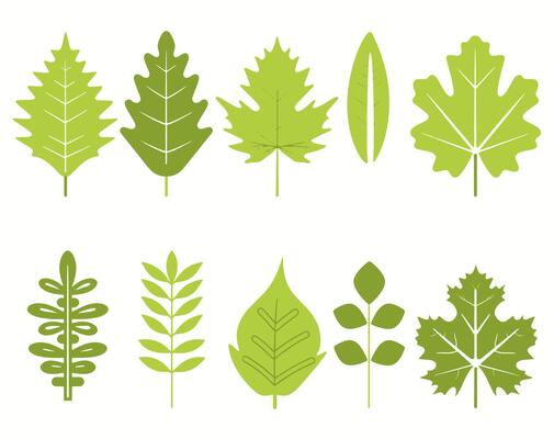 icon set of green leaf