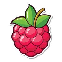 A raspberry sticker with a green leaf vector